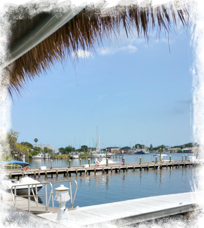 Tarpon Springs 1