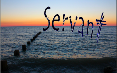 YOU’VE GOT TO SERVE SOMEBODY