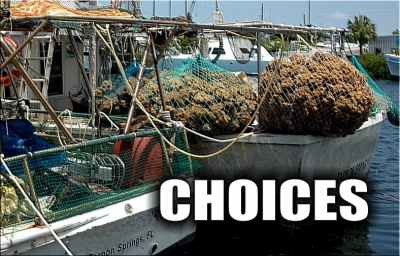 CHOICES CHOICES