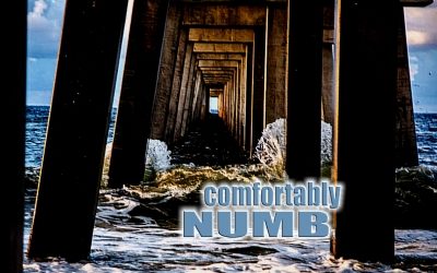 WE’RE ALL JUST COMFORTABLY NUMB