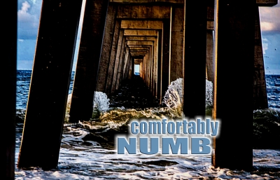 We're Comfortably NUMB