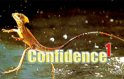 Confidence Confidence Part 1