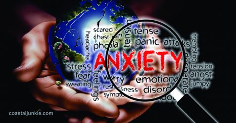 SURVIVING THE MADNESS